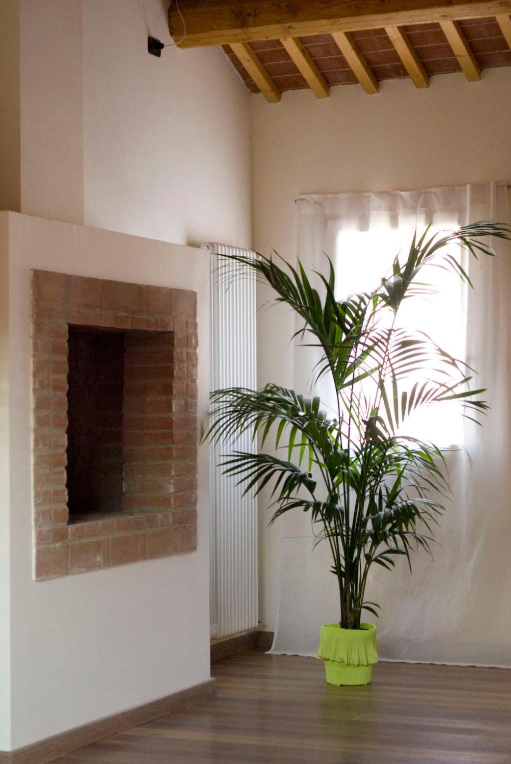 B&B Cittabella Cittadella Bagian luar foto